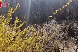 春暖花开，动物世界新成员集体亮相图片