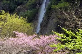 太白山红河谷最新信息汇总图片