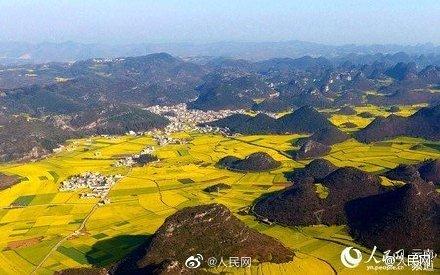 全国油菜花花期地图来了～走，踏青去