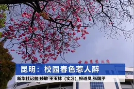 昆明：校园春色惹人醉视频封面