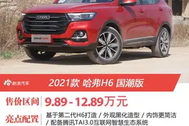哈弗H6国潮版正式上市 售9.89-12.89万元图片