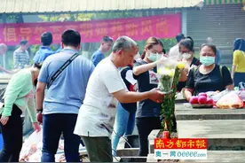 清明将至！东莞殡仪馆招募清明祭扫志愿者，欢迎报名图片