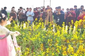 春暖花开 中原遍地出彩图片