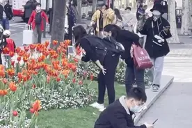 上海外滩郁金香处最佳观赏期，打卡“网红点”别忘了带上文明视频封面