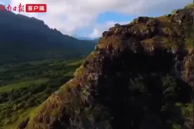 小小茗茶，折射美好生活图片