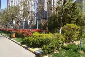 一普通居民的家突然“变成”注资500万的公司！原来背后涉及企业注册代办公司的“利益链”图片