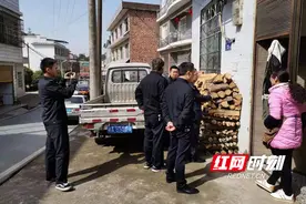 注意！枯死松木不能当柴烧图片