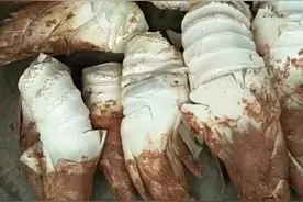 小柏菜｜去浙江山间，捕捉极品“山黄鱼”！那种鲜，才是春日限定美物图片