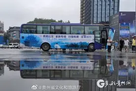 往返99元！贵阳公交推出百里杜鹃景区直通车图片