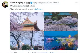 让樱花“说”更多武汉的美好故事｜长江评论图片