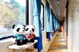 全国首趟熊猫专列来了，想坐不？图片