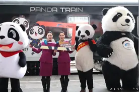 全国首趟“熊猫专列”上线首发车开往遵义，价格1280元图片