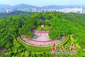 莲花山上大步走的老人深圳人永不会忘记的形象图片