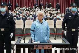 16年涉贿五千万白发厅官受审，前任搭档落马家中搜出五支枪图片