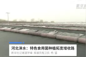 河北涞水：特色食用菌种植拓宽增收路视频封面