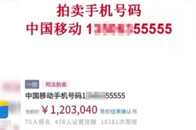 简直66666！尾号55555手机号在法院拍出120万天价图片