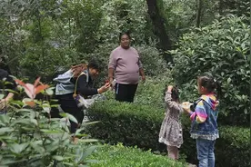 淄博淄川牛记庵：风景如画 春景怡然视频封面