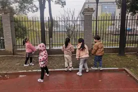 蒋村花园幼儿园“苗苗二班施工队”动工！7棵香椿树“搬家”成功啦图片