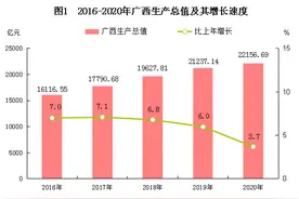 2020年广西壮族自治区国民经济和社会发展统计公报图片