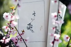 风雅传奇《十竹斋笺谱》复刻重刊：明清士大夫的雅致清玩图片