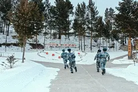 火箭军、空军、海军、战略支援部队……多军兵种直招高校应届生，今起报名图片