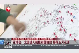 花博会：北园进入栽植布展阶段  静待五月花开视频封面