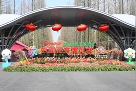 进花门、赏花歌、品花糕，上海崇明花朝节开幕为花博会预热视频封面