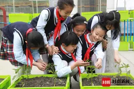 @成都成华人 未来五年成华将新建62所学校 新增优质学位6.1万个图片