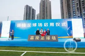 不得了！这个社区有了一块达到国际足联标准的11人足球场图片