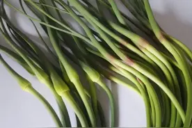 买蒜苔时，“红头”“绿头”要分清！区别挺大，弄懂再买不浪费钱图片