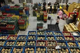 台外销新加坡菠萝又出事，“果肉颜色淡，内部有黑心”图片