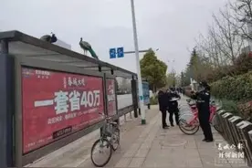 又有孔雀在昆明街头大摇大摆闲逛了！这回惊动了特警图片