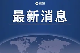 德国防部宣布：德军最后一架军机已飞离阿富汗空域，军事行动结束图片