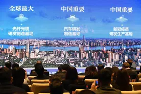 探索新格局下的武汉现代化之路，武汉招商引资实现“开门红”图片