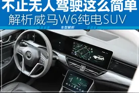 不止AVP技术这么简单 解析威马W6车型图片