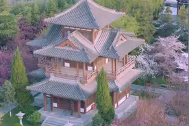 意境满分！航拍西安青龙寺樱花视频封面