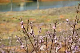辽宁一秒入夏？辽宁多地最高气温超20℃图片