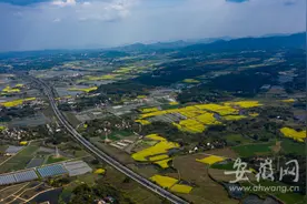 宣城G318宣十路改建：让群众出行便捷，与企业运输需求有效衔接图片