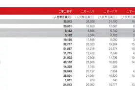 安踏体育2020年营收355.1亿，净利润首超阿迪图片