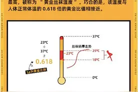 解密丝袜消费背后的气象经济学：淘宝发布“丝袜温度”指数图片