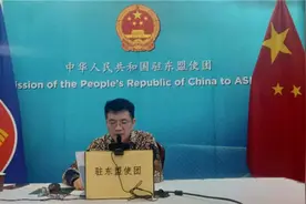 中国—东盟对话关系30周年智库论坛：专家学者共同聚焦可持续发展合作图片