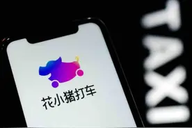 交通部再点名花小猪，人车是否合规可线上查询图片