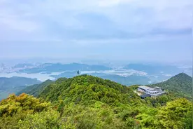 数百名驴友聚集梧桐山顶蹦迪 管理部门：强烈谴责！视频封面