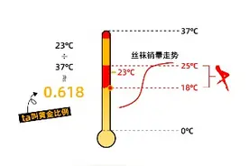 电商平台跨界发布“丝袜温度指数”：气温每到23℃，丝袜销量增长快图片