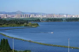 我的兄弟回来了，滇池23条鱼的故事→图片