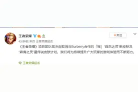 王者荣耀：项目团队现决定取消与Burberry合作皮肤计划图片