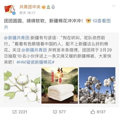 带头抵制新疆棉花的BCI，究竟是个什么组织？