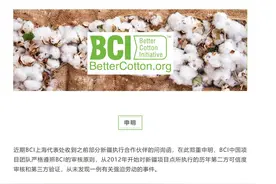 起底BCI：带头抵制新疆棉引发品牌跟进，前后表态多次反转图片