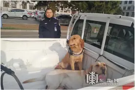 哈尔滨市公安惩处校园内违规养犬行为图片