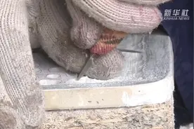 雕刻人生视频封面